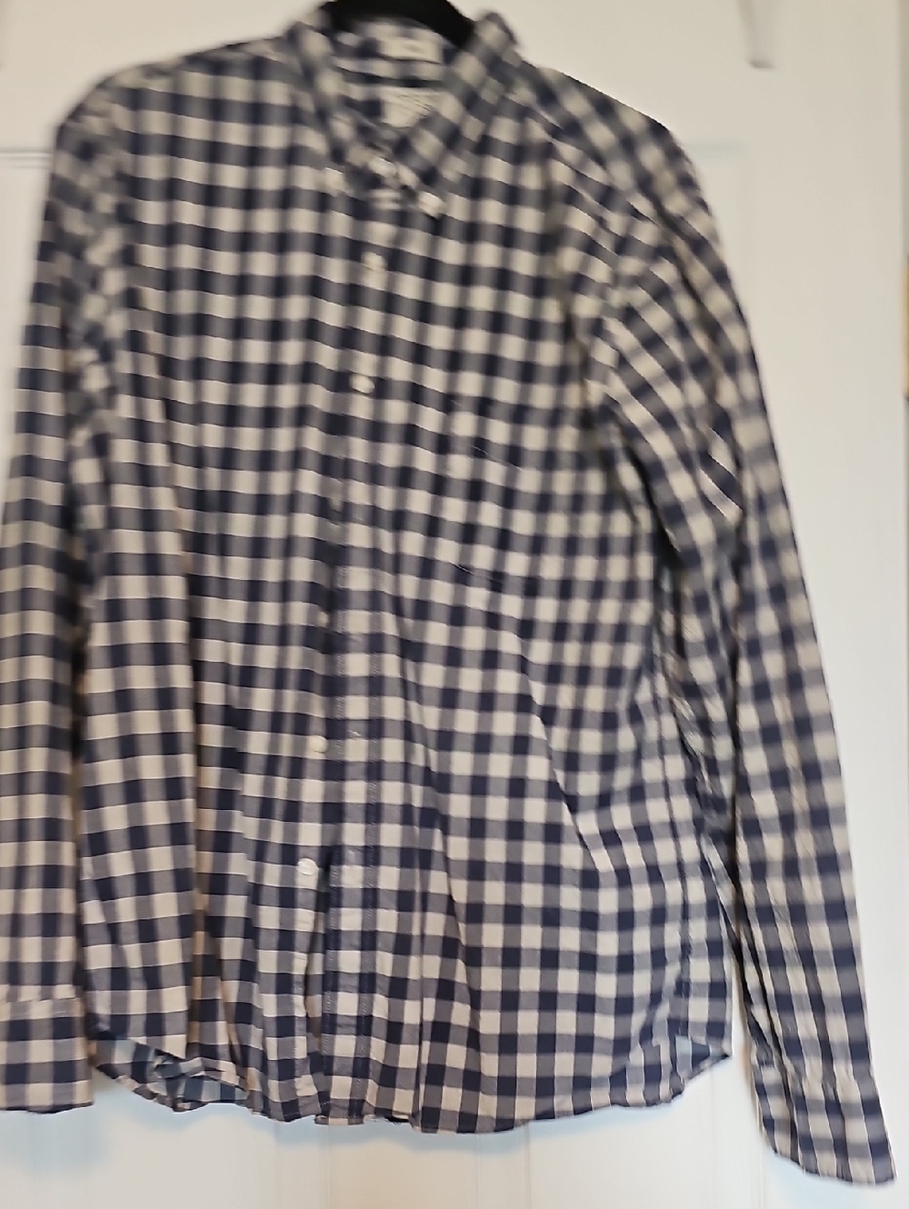 J. Crew Navy and White Gingham Button-Down Shirt